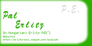 pal erlitz business card